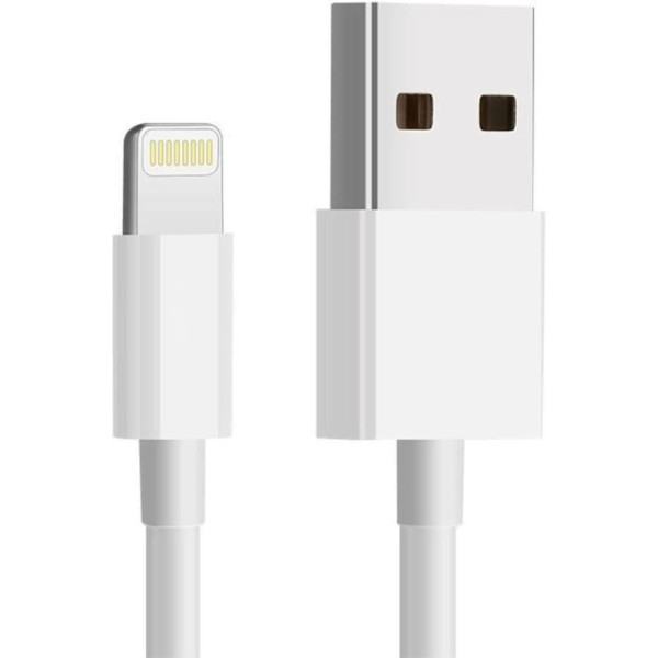 CABO USB C-A TO LIGTHNING CABLE (1M) APPLE